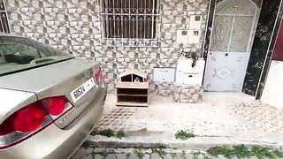 The quiet Siamese cat sitting in the cat house does not want to leave its place.