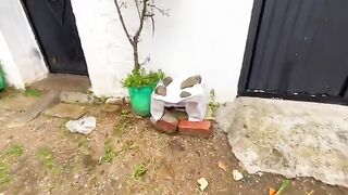 This cute kitten was hiding from the winter drops and cold.