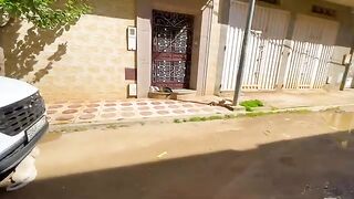 The friendly white cat is angry with her husband and does not want him to approach her.
