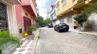 Feed and play with three cute stray cats.