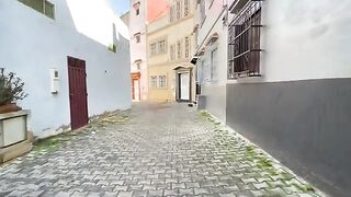 A stray cat was circling around us asking for food with a loud meow.