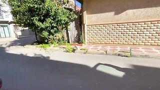This white cat is very friendly and asks me for love and food.