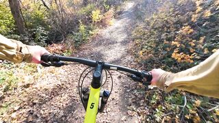 Action figure - autumn mountain biking adventure on forest trail | Trending HD Video