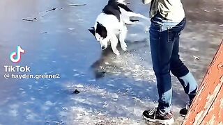 Vidéo drôle