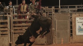 Action figure - man riding a bull | Trending HD Video