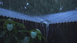 See more information