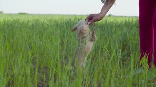 Funnyfuzzy - id | Trending HD Video