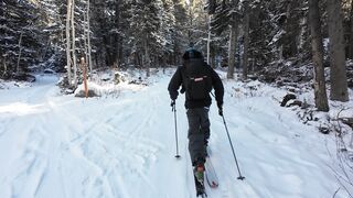 Action figure - backcountry skiing adventure in snowy forest | Trending HD Video