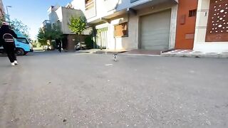 Nous avons nourri et joué avec deux chats mignons qui se battent un peu mais ont une grande amitié.