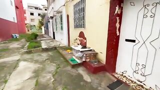 Friendly teenage kittens relaxing in their cozy home are surprised by delicious food.