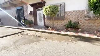 Cute kitten with cute meow wants to get some delicious and nutritious food.