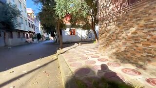 The cute cat loves to get love and the other cat wants to enjoy the golden sunshine.