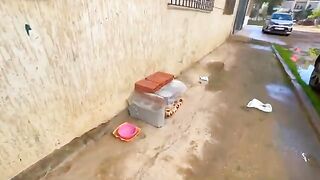 Cute cat hiding in her warm house from the cold and winter while being fed.