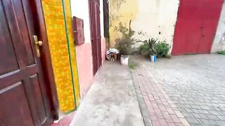 The cute kitty wants some gentle massage, love and delicious food.