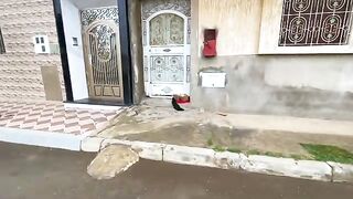 Very friendly cat asking for food in her own cute way.