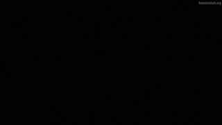 Shibou Yuugi de Meshi wo Kuu Episodes 8
