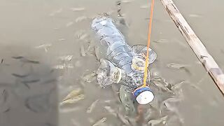 This bottle fishing technique is amazing ???????? #shorts #fishing