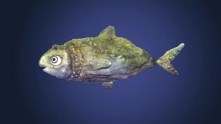 Animal breed - id | Trending HD Video