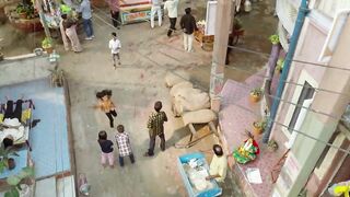 Tum Se Tum Tak  episode 233