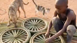 ☝️☝️????????????❇️????????