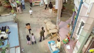 Tum Se Eum Eak Episode 233