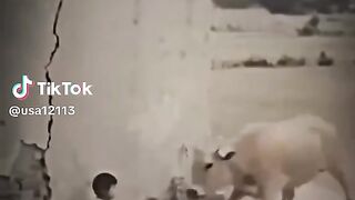 Watch until the end, you won't regret it! This is 1 in a billion! ????