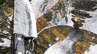 swat fish cooking ????