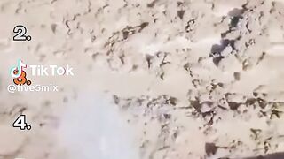 Watch until the end, you won't regret it! This is 1 in a billion! ????