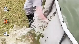 Watch until the end, you won't regret it! This is 1 in a billion! ????