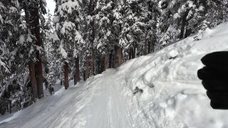 Action figure - first person skiing adventure through snowy forest | Trending HD Video