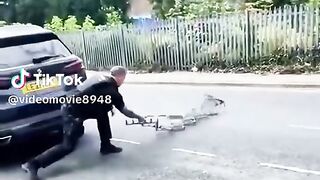 Watch until the end, you won't regret it! This is 1 in a billion! ????