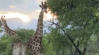 Beautiful nature