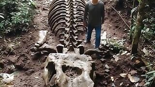 Penemuan Raksasa Purba di Tengah Hutan Hujan