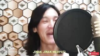 Song Jinak Merpati