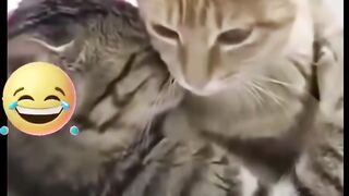 Hhhhhhhhhh