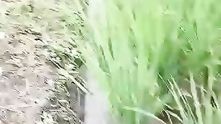 Fishing eel videos.. This is fishing eel videos.. Thanks for watching..!!