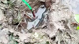 Fishing eel videos... This is fishing eel videos.. Thanks for watching..!!