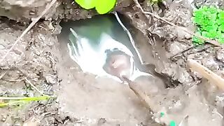 Fishing eel videos.. This is fishing eel videos .. Thanks for watching..!!