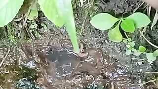 Fishing eel videos.. This is fishing eel videos.. Thanks for watching..!!