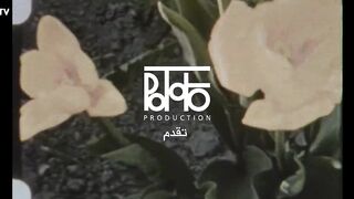 مسلسل امور عائليه الحلقه 9