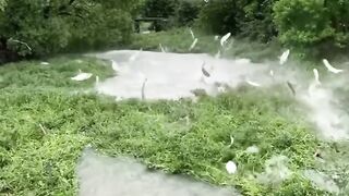 Fresh fishing ???? organic food