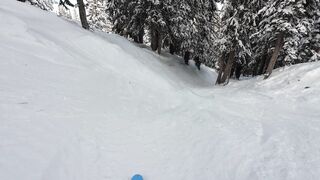 Action figure - thrilling first person ski run through snowy forest | Trending HD Video