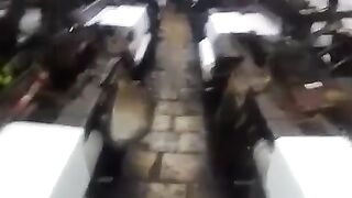 Hand loom in Mumbai India