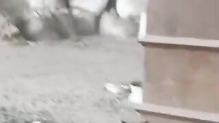 India is hardworking this company