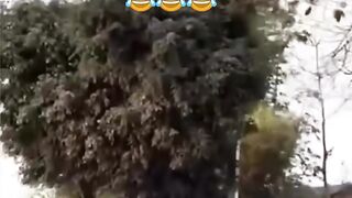 SSC ka paper hai ????