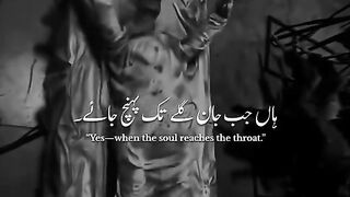 Quran Translate