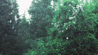 NaturesPlus | Trending HD Video