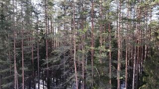 Naturepedic | Trending HD Video