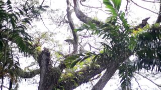 Naturehike | Trending HD Video