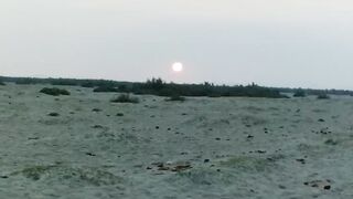 Beauty of winter